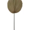 Dried Cut Fan Palm 90cm Artificial Stem Natural -Home Décor Sales 769023280 1 1 720x928