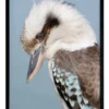 Kookaburra Black Frame -Home Décor Sales 811750780 1 720x928