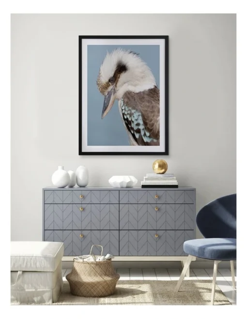 Kookaburra Black Frame -Home Décor Sales