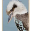 Kookaburra Oak Frame -Home Décor Sales 811750870 1 720x928