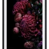 Waratah Bouquet Black Frame -Home Décor Sales 811755100 1 720x928