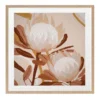 Autumnal Australis Print Oak Frame -Home Décor Sales 836073460 1 720x928