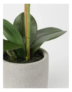 Heritage Real Touch Orchid 45cm 1 Stem Pink -Home Décor Sales 852152230 3 720x928