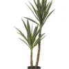Dracaena Tree -Home Décor Sales 855339490 1 720x928