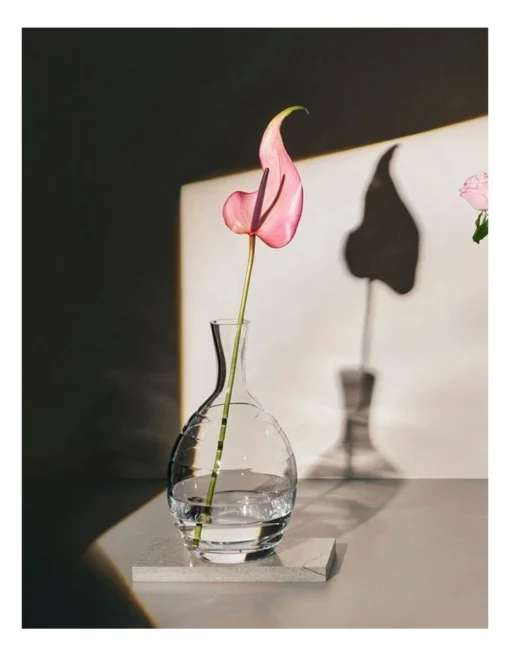 Allium Rings Vase 31cm Boxed -Home Décor Sales