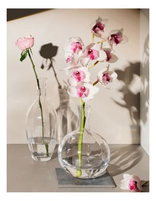 Allium Optic Vase 34cm Boxed -Home Décor Sales