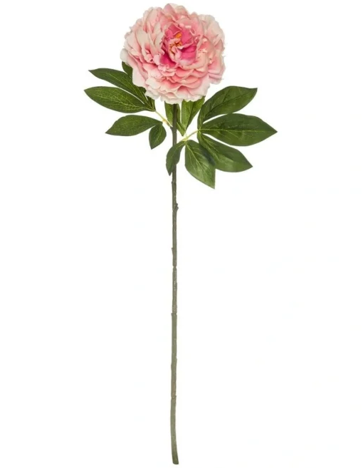 Heirloom Peony Stem 25x18x79cm Pink -Home Décor Sales