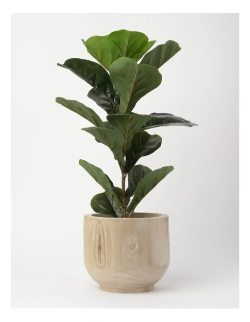 Wooden Planter Pot 19cm In Natural -Home Décor Sales