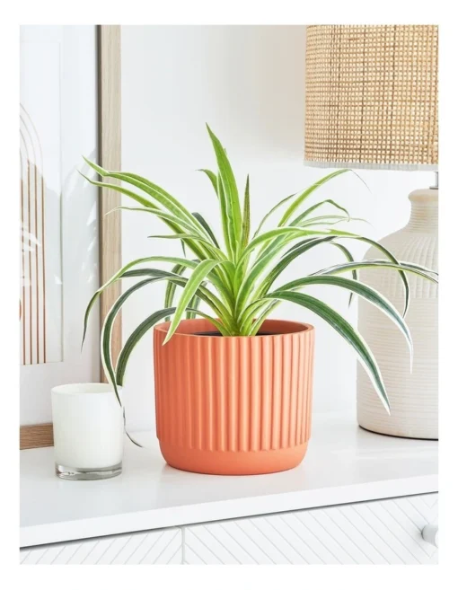 Dakota Ribbed Terracotta Planter Pot 14cm In Burnt Orange -Home Décor Sales