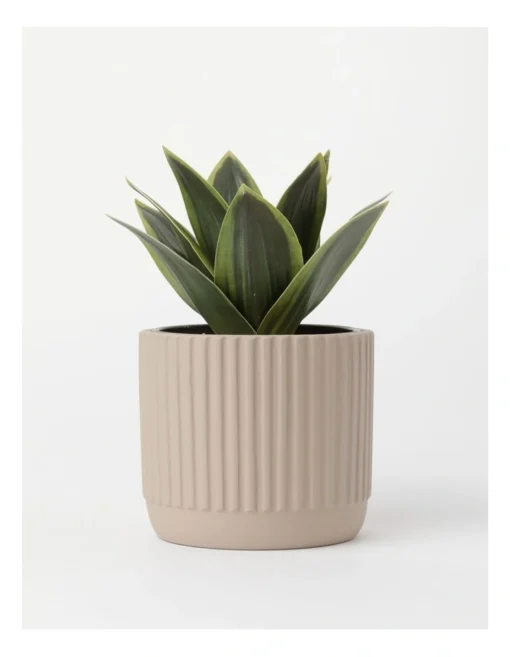 Agave Succulent Artificial Plant 19x19x22cm -Home Décor Sales