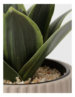 Agave Succulent Artificial Plant 19x19x22cm -Home Décor Sales 865791550 3 720x928