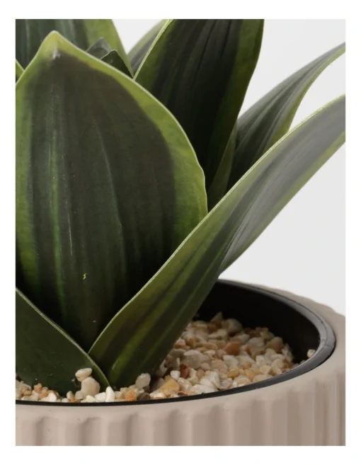Agave Succulent Artificial Plant 19x19x22cm -Home Décor Sales