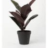 Small Rubber Artificial Plant 45cm -Home Décor Sales 865791820 1 720x928
