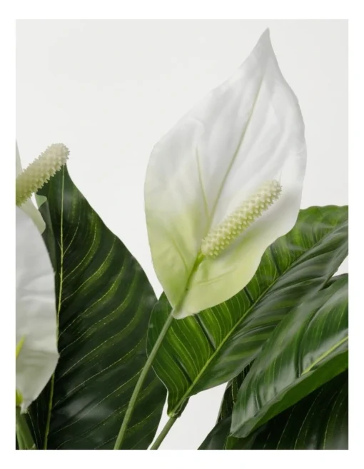 Peace Lily Artificial Plant 70cm -Home Décor Sales