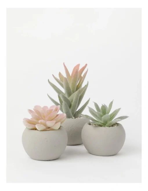 3 Pack Of Artificial Mini Succulent Plants In Concrete Pot 9cm In Multi -Home Décor Sales