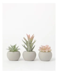 3 Pack Of Artificial Mini Succulent Plants In Concrete Pot 9cm In Multi -Home Décor Sales 877662550 3 720x928