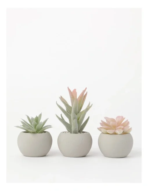 3 Pack Of Artificial Mini Succulent Plants In Concrete Pot 9cm In Multi -Home Décor Sales