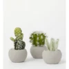 3 Pack Of Artificial Mini Succulent Plants In Concrete Pot 14cm In Multi -Home Décor Sales 877662640 1 720x928