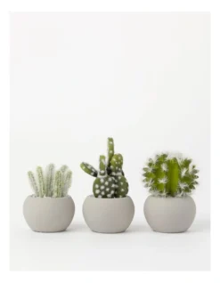 3 Pack Of Artificial Mini Succulent Plants In Concrete Pot 14cm In Multi -Home Décor Sales 877662640 3 720x928