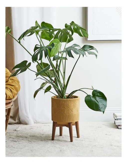 Marella 36.5x26x26cm Planter Pot On Wooden Stand Small In Brown -Home Décor Sales