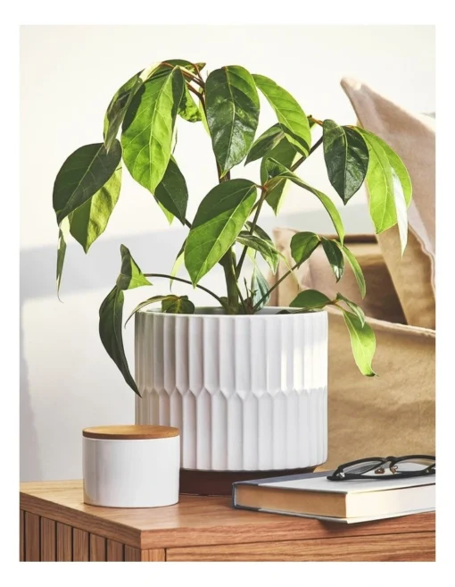 Akia Ribbed Ceramic Planter 20.5x20.5x19.5cm In White -Home Décor Sales