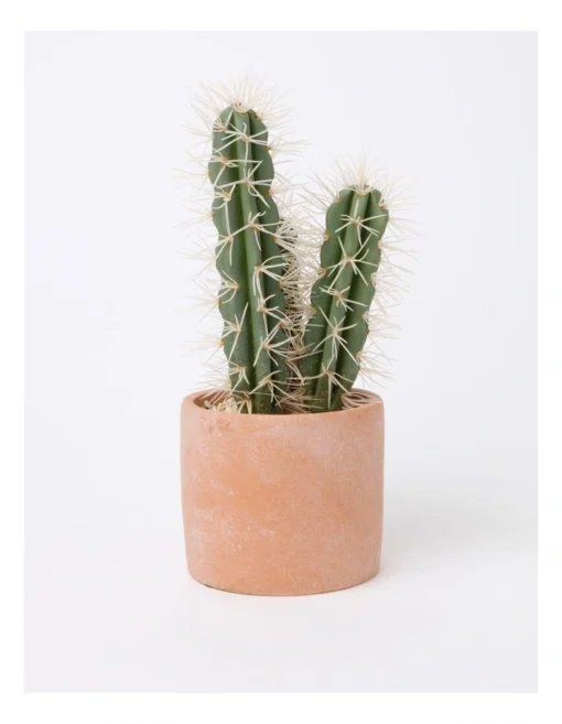 Artificial Cactus In Cement Pot 30x14x14cm In Green/Terracotta -Home Décor Sales
