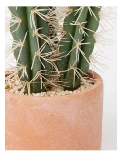 Artificial Cactus In Cement Pot 30x14x14cm In Green/Terracotta -Home Décor Sales 898193350 3 720x928