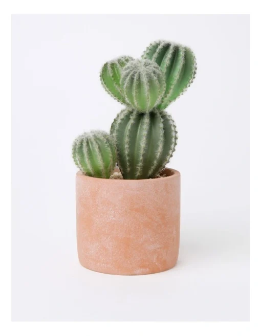 Artificial Cactus In Cement Pot 26.5x16x12cm In Green/Terracotta -Home Décor Sales