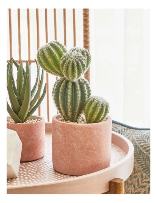 Artificial Cactus In Cement Pot 26.5x16x12cm In Green/Terracotta -Home Décor Sales