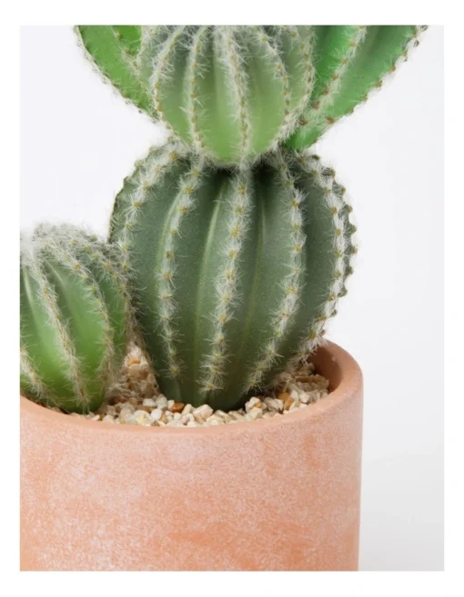 Artificial Cactus In Cement Pot 26.5x16x12cm In Green/Terracotta -Home Décor Sales