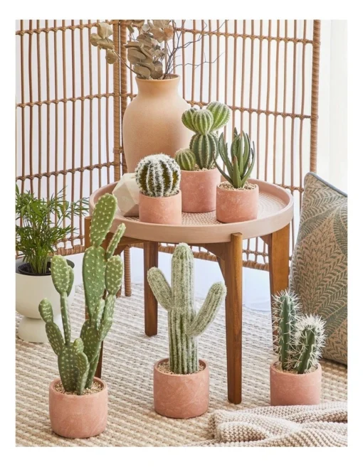 Artificial Cactus In Cement Pot 26.5x16x12cm In Green/Terracotta -Home Décor Sales