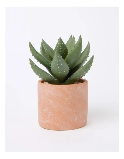 Artificial Cactus In Cement Pot 22x16x16cm In Green/Terracotta -Home Décor Sales