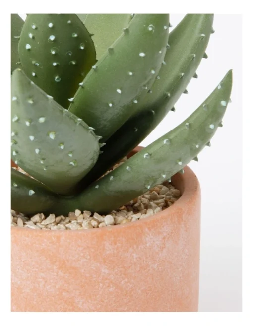 Artificial Cactus In Cement Pot 22x16x16cm In Green/Terracotta -Home Décor Sales