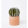 Artificial Cactus In Cement Pot 17.5x12x12cm In Green/Terracotta -Home Décor Sales 898193710 1 720x928