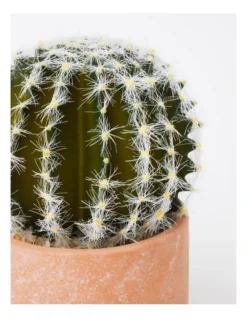 Artificial Cactus In Cement Pot 17.5x12x12cm In Green/Terracotta -Home Décor Sales 898193710 3 720x928