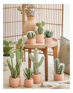 Artificial Cactus In Cement Pot 17.5x12x12cm In Green/Terracotta -Home Décor Sales 898193710 4 720x928