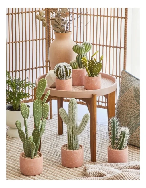 Artificial Cactus In Cement Pot 36x28x23cm In Green/Terracotta -Home Décor Sales
