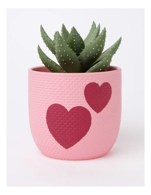 Rubberised Planter Heart Pot 15.5X18cm In Pink -Home Décor Sales