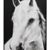 Cooper & Co. Horse Canvas Print 122x82cm -Home Décor Sales 913800610 1 720x928