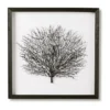 Black Sea Fan Shadow Box -Home Décor Sales 924815170 1 720x928