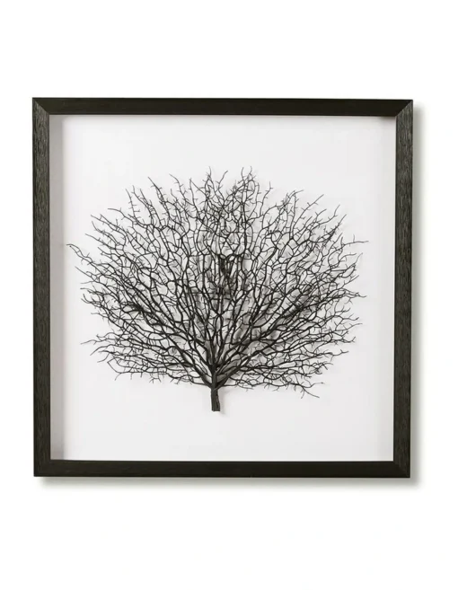 Black Sea Fan Shadow Box -Home Décor Sales