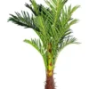 Phoenix Palm Artificial Plant 180cm -Home Décor Sales 932279050 1 720x928