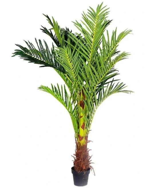 Phoenix Palm Artificial Plant 180cm -Home Décor Sales