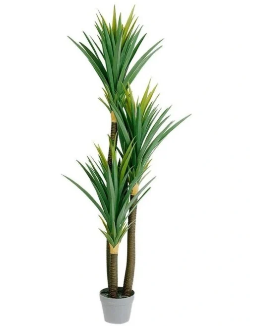Yucca Artificial Plant 150cm -Home Décor Sales