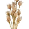 Wheat Flower Stem 75cm In Brown -Home Décor Sales 943236730 1 720x928