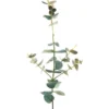 Eucalyptus Spray 74cm In Dark Green -Home Décor Sales 943236820 1 720x928