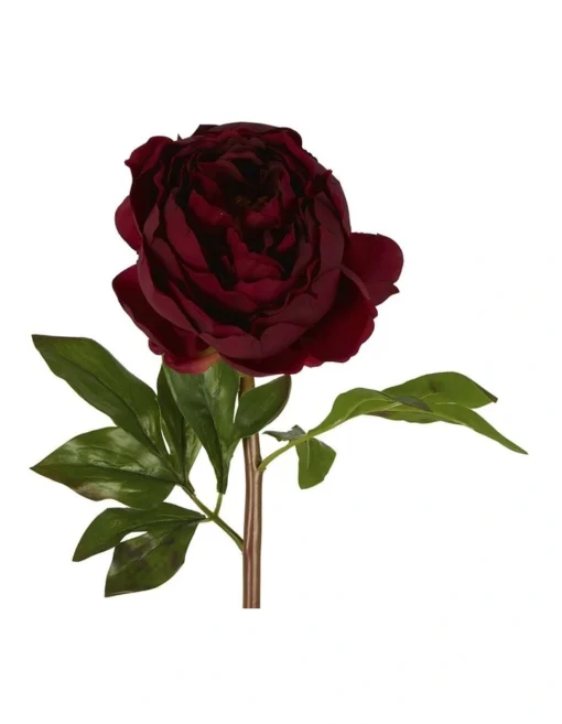 Peony Flower Real Touch Stem In Dark Plum -Home Décor Sales