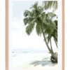 Profile Palm Island Dreams Art Print A3 Australian Made In Natural Frame -Home Décor Sales 947759860 1 1 720x928