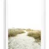 Profile Sandy Path 2 Art Print A3 In White Frame Australian Made -Home Décor Sales 947761030 1 1 720x928