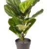 Artificial Fiddle Leaf Faux Plant 50cm In Green -Home Décor Sales 954961030 1 720x928